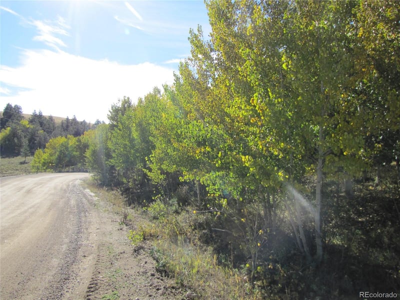Lot 699 Campfire Rd Lot 699, Hartsel, CO 80449