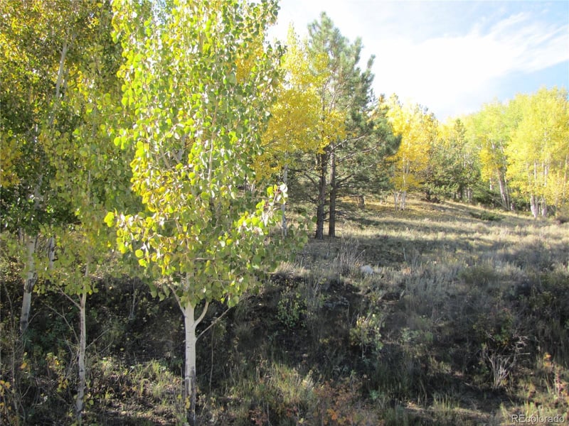 Lot 699 Campfire Rd Lot 699, Hartsel, CO 80449