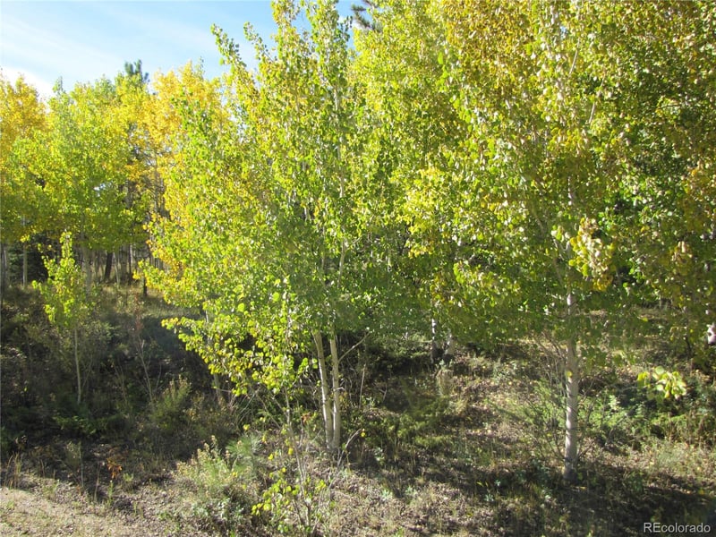 Lot 699 Campfire Rd Lot 699, Hartsel, CO 80449
