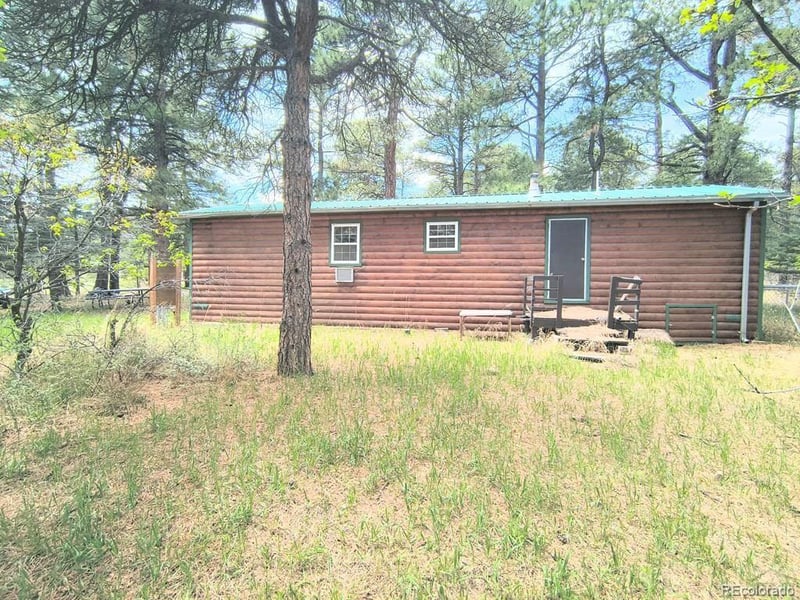 10594 Charles Ln, Rye, CO 81069