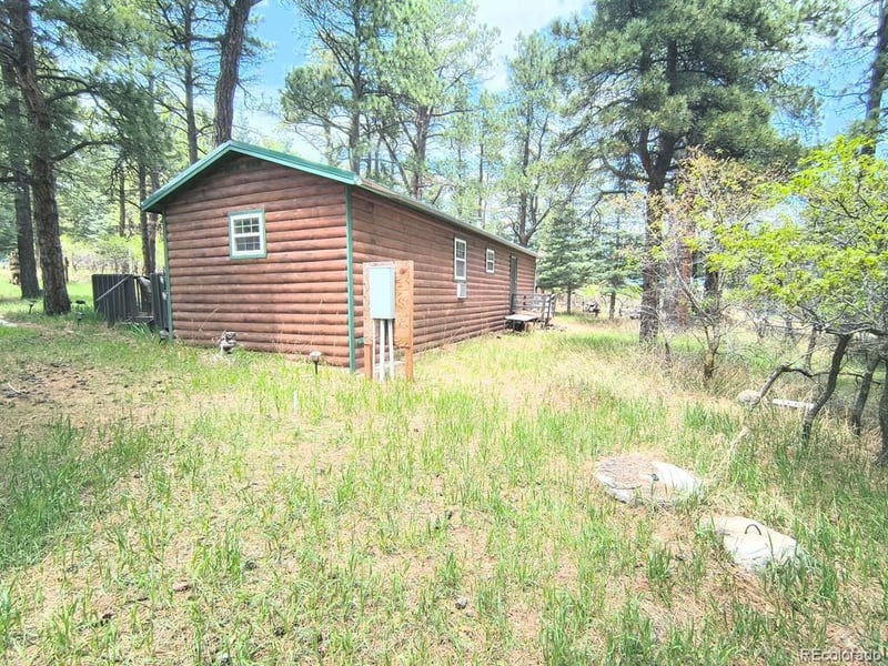 10594 Charles Ln, Rye, CO 81069