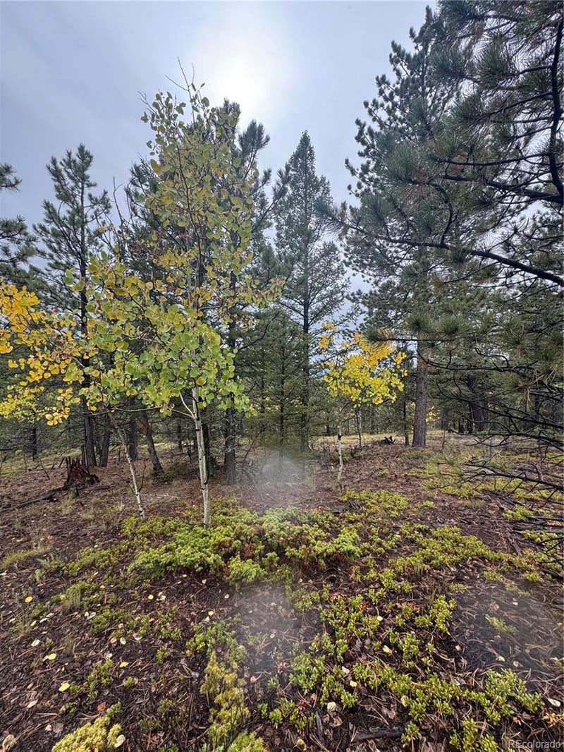 7935 County Road 51 Lot 32, Divide, CO 80814