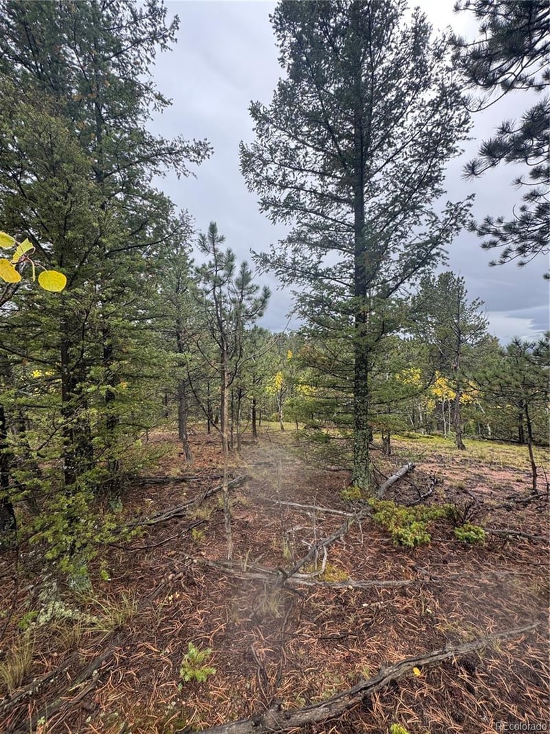 7935 County Road 51 Lot 32, Divide, CO 80814
