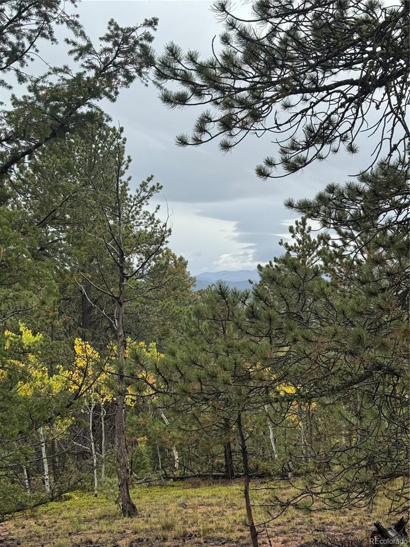 7935 County Road 51 Lot 32, Divide, CO 80814