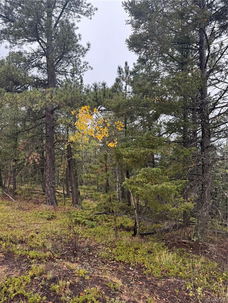 7935 County Road 51 Lot 32, Divide, CO 80814