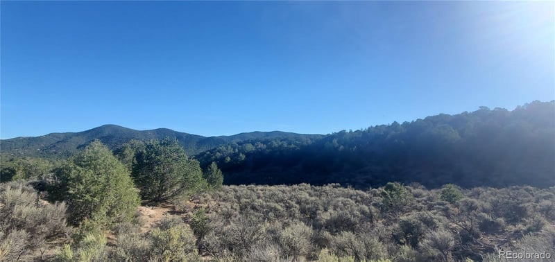 Lot 7363 Bidwell Rd, Fort Garland, CO 81133