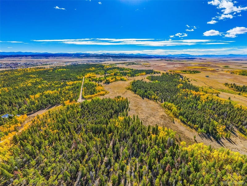 660 Rockwell Renshaw Rd Lot 5, Fairplay, CO 80440