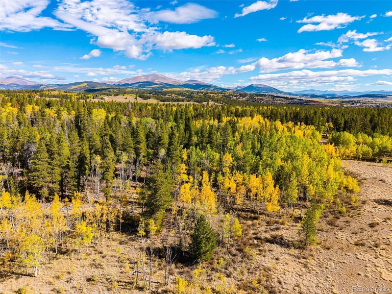 660 Rockwell Renshaw Rd Lot 5, Fairplay, CO 80440