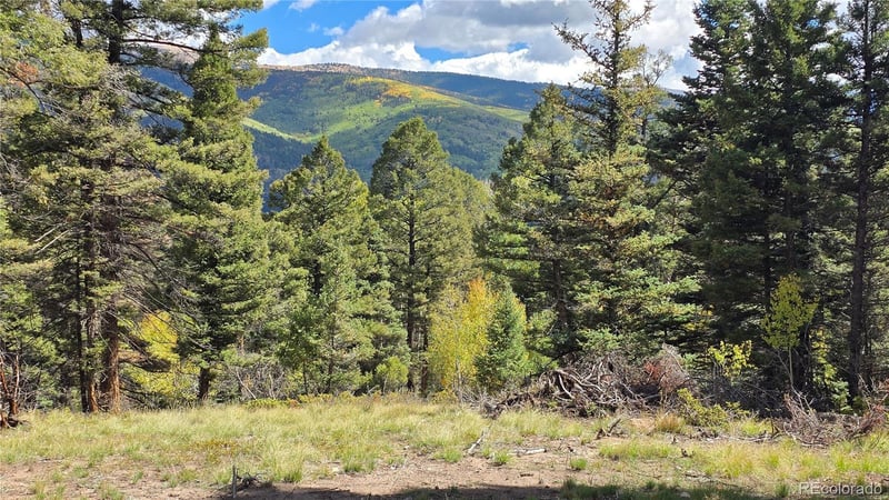 Lot 6363 Jaquez Rd Lot 6363, San Luis, CO 81152