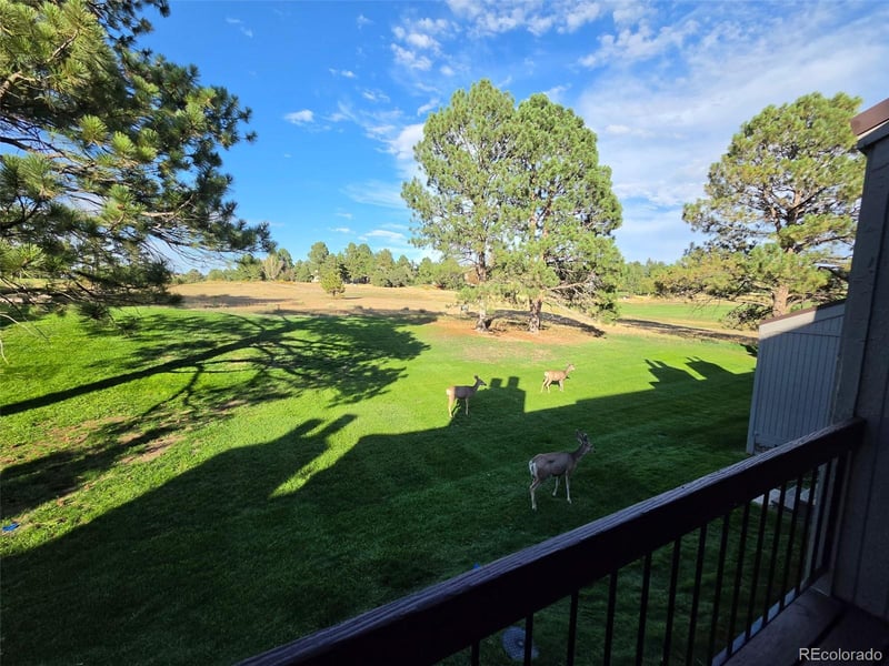 6480 Pinewood Dr, Parker, CO 80134