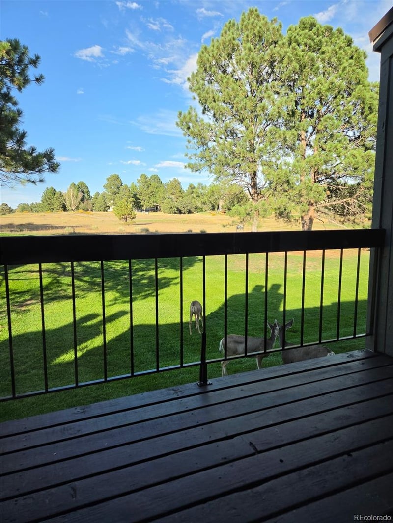 6480 Pinewood Dr, Parker, CO 80134