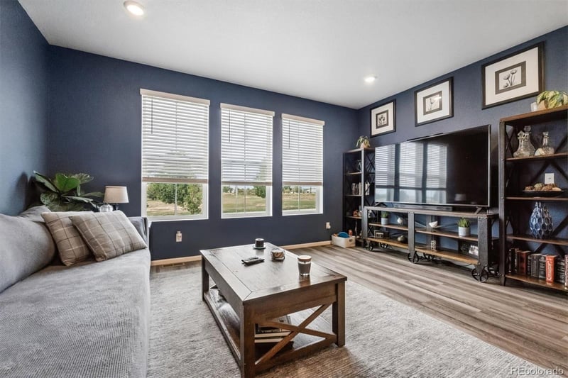 707 Prairie Clover Way, Brighton, CO 80640