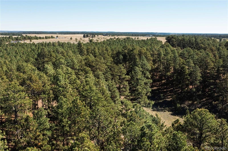 9040 Walker Rd, Colorado Springs, CO 80908