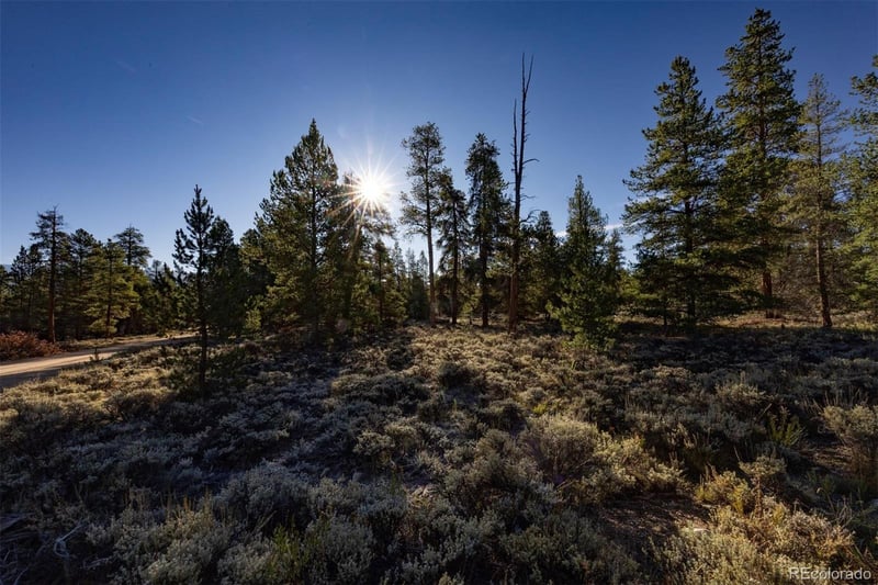 454 Spruce Dr, Leadville, CO 80461