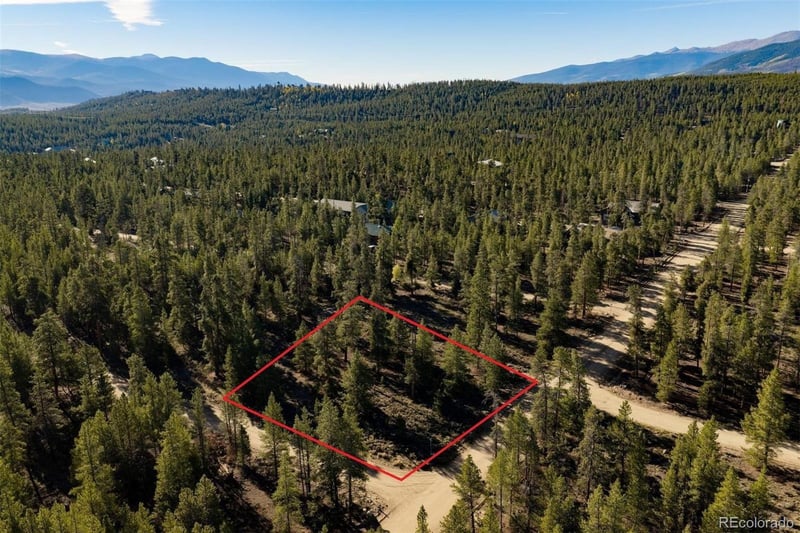 454 Spruce Dr, Leadville, CO 80461