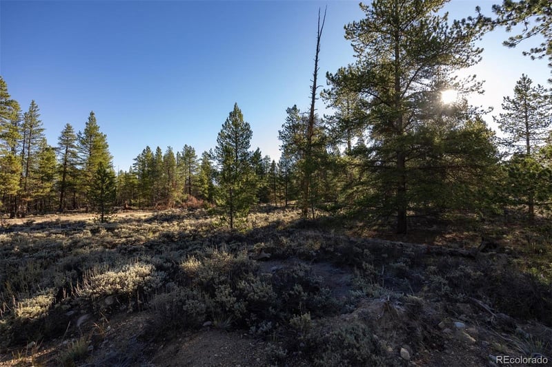 454 Spruce Dr, Leadville, CO 80461