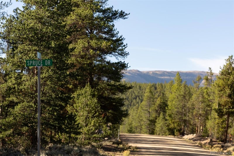 454 Spruce Dr, Leadville, CO 80461