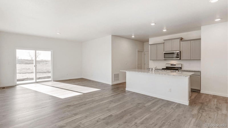 394 N Allium St, Watkins, CO 80137