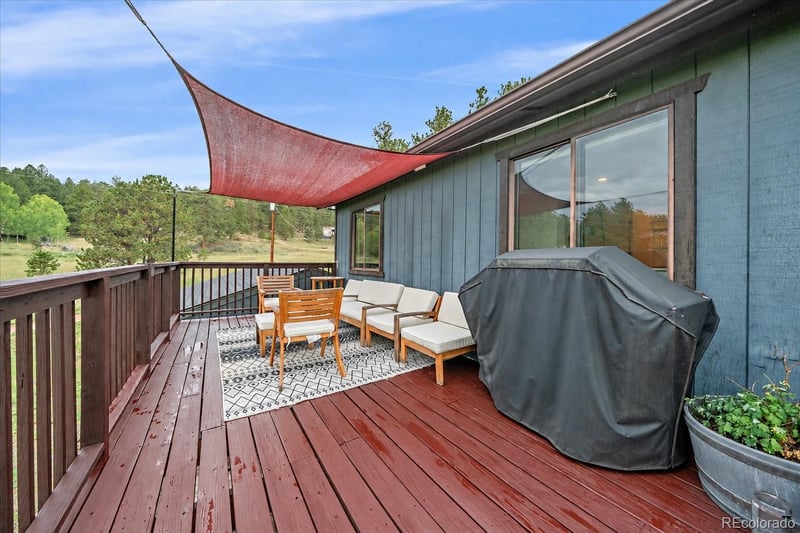 12564 S Lora Ave, Pine, CO 80470