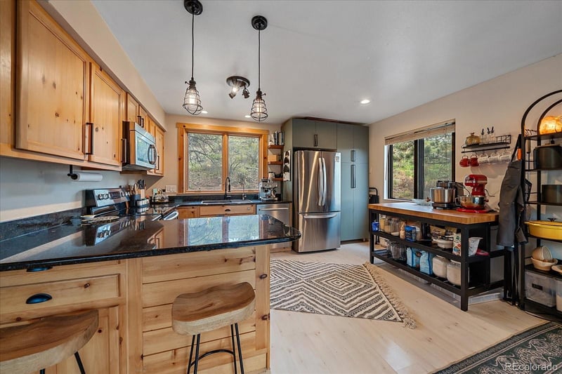 12564 S Lora Ave, Pine, CO 80470