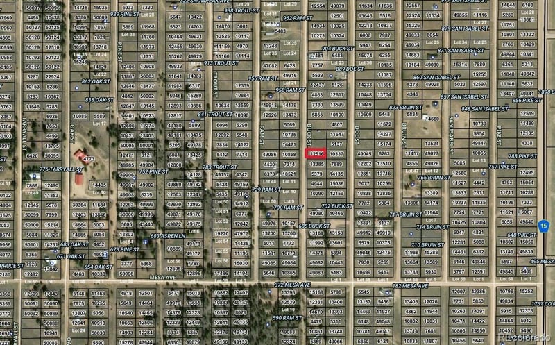 Buck St Lot 46, Hartsel, CO 80449