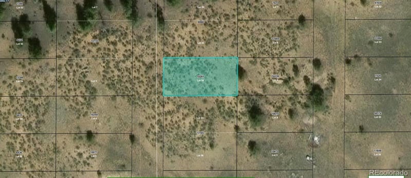 Highland St Lot 54, Hartsel, CO 80449
