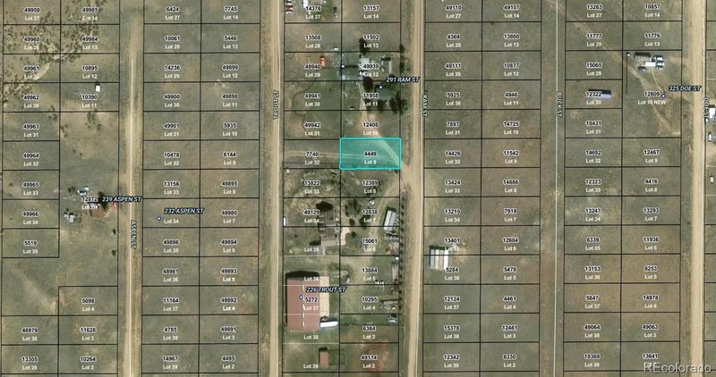 Ram St Lot 9, Hartsel, CO 80449