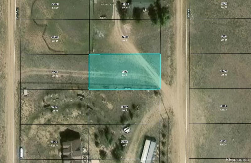 Ram St Lot 9, Hartsel, CO 80449
