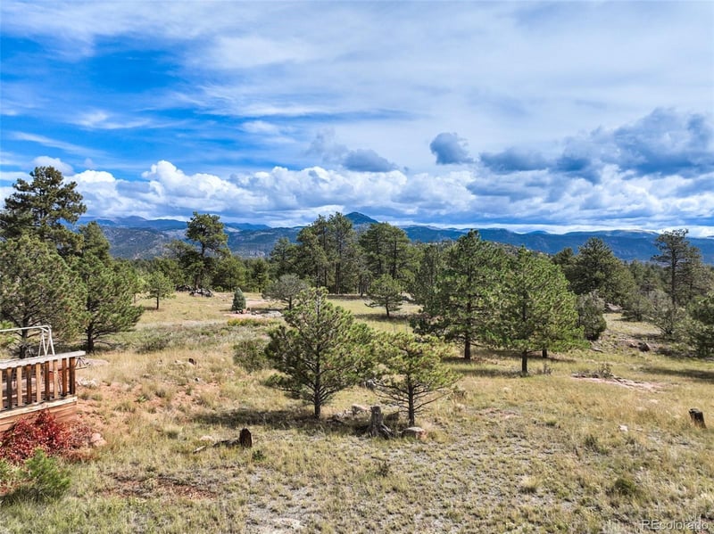 82 Ute Cir, Florissant, CO 80816