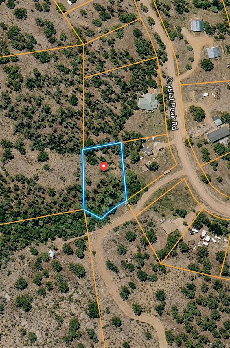 448 Crystal Peak Rd, Florissant, CO 80816