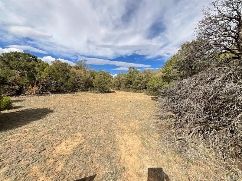 0 Lot 70 Silver Spurs Ranch, Walsenburg, CO 81089