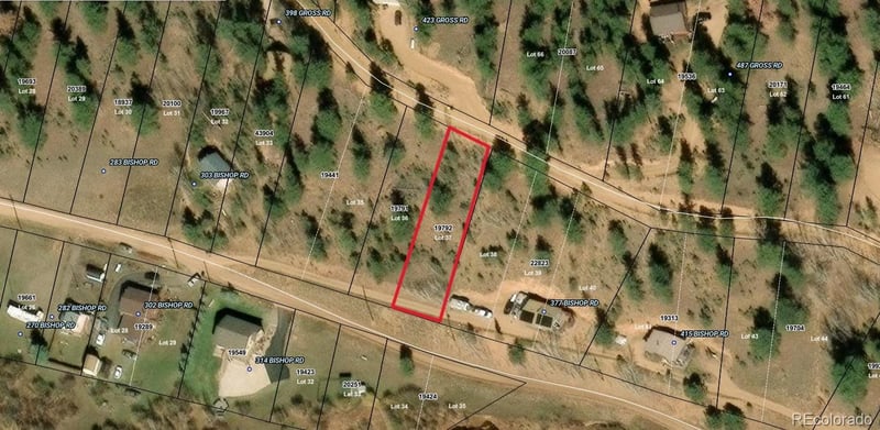 357 Bishop Rd, Bailey, CO 80421