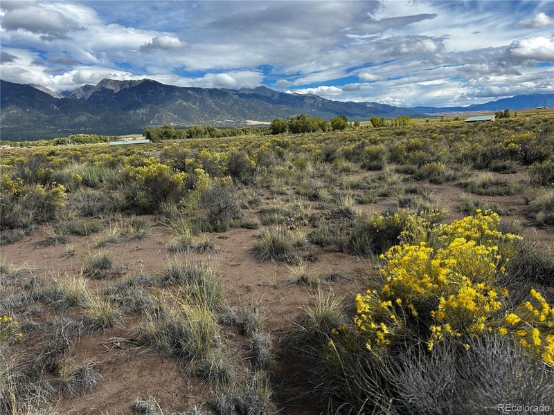 1159 Camino Del Rey, Crestone, CO 81131