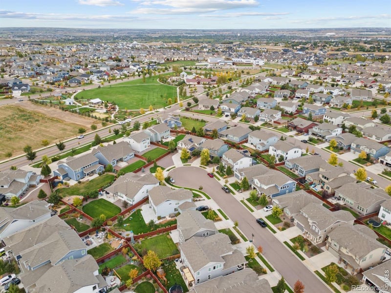 2104 Gather Ct, Windsor, CO 80550