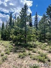 76 Ute Way Lot 336, Fairplay, CO 80440
