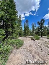76 Ute Way Lot 336, Fairplay, CO 80440