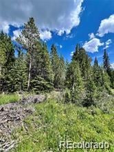 76 Ute Way Lot 336, Fairplay, CO 80440