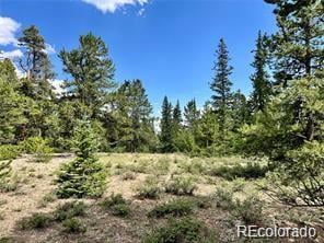 76 Ute Way Lot 336, Fairplay, CO 80440