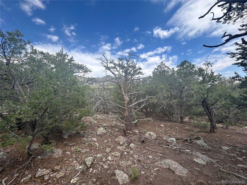 1786 Summitview Way, Crestone, CO 81131