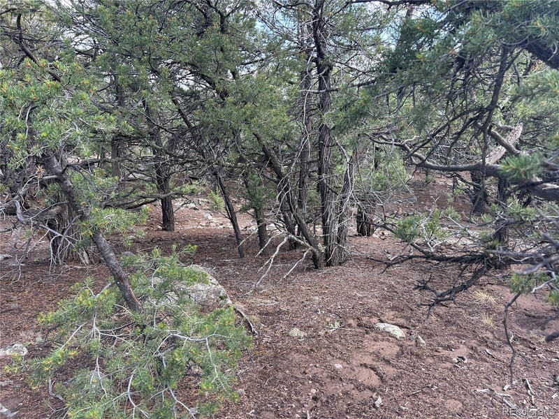 1786 Summitview Way, Crestone, CO 81131