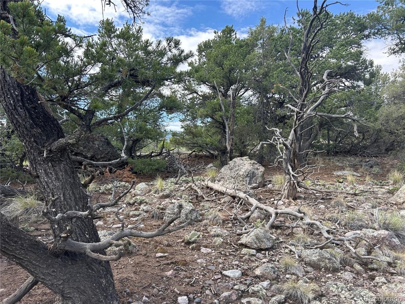 1786 Summitview Way, Crestone, CO 81131