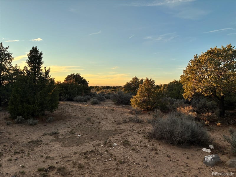 00 County Road 67 5, San Luis, CO 81152