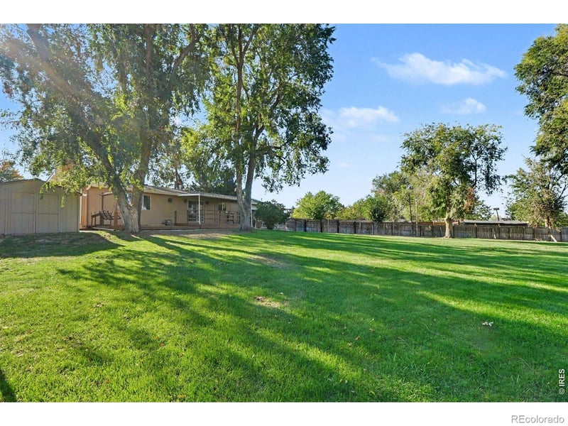 702 Harp Ct, Greeley, CO 80634