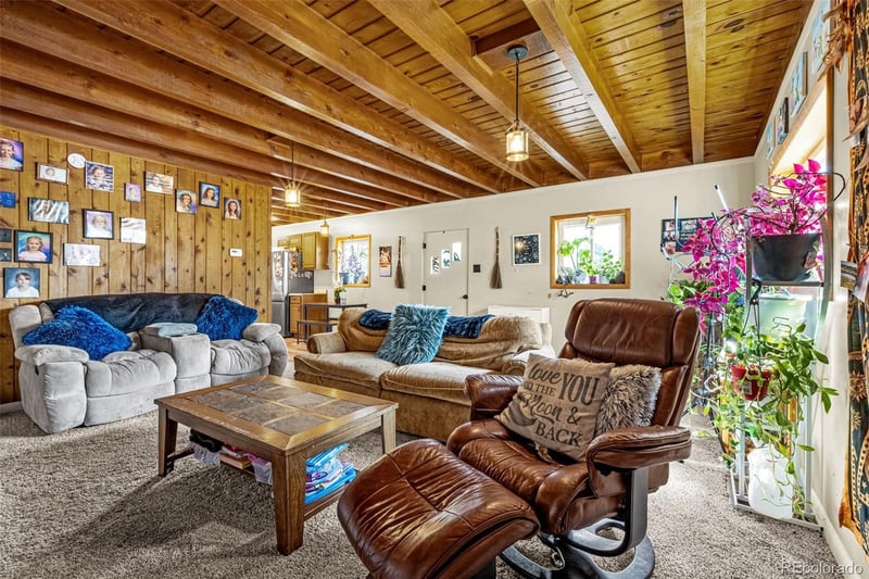 1030 Woodland Ave, Woodland Park, CO 80863