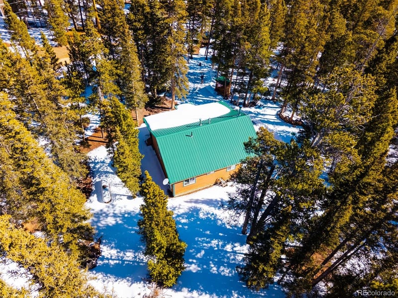 182 Rachaels Pl, Alma, CO 80420