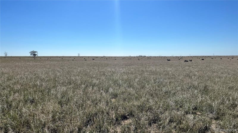 0 County 1 Ln, Boone, CO 81025