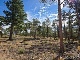 18677 State Highway 7, Lyons, CO 80540