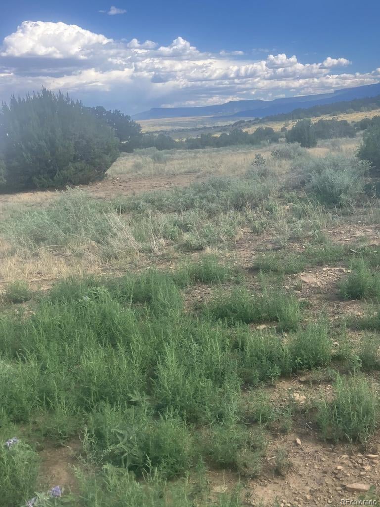 17161 County Road 71 1, Trinidad, CO 81082