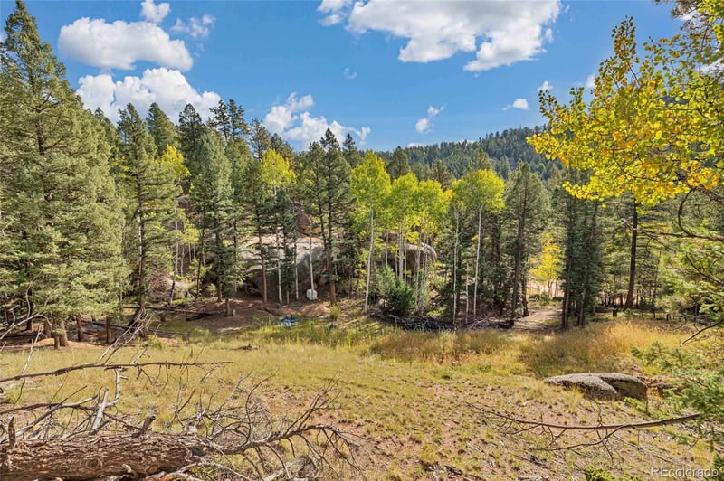 926 Pinon Ln, Florissant, CO 80816