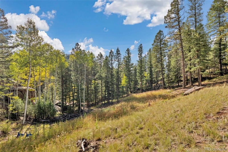 926 Pinon Ln, Florissant, CO 80816